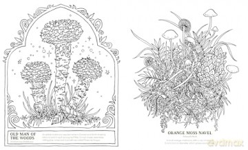 Into the Fungarium: A Spellbinding Coloring Book of Fantastical Fungi - Anna Tromop [KSIĄŻKA]