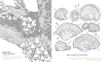Into the Fungarium: A Spellbinding Coloring Book of Fantastical Fungi - Anna Tromop [KSIĄŻKA]