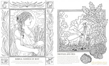 Into the Fungarium: A Spellbinding Coloring Book of Fantastical Fungi - Anna Tromop [KSIĄŻKA]
