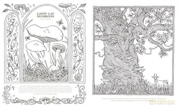 Into the Fungarium: A Spellbinding Coloring Book of Fantastical Fungi - Anna Tromop [KSIĄŻKA]
