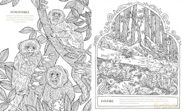 Into the Fungarium: A Spellbinding Coloring Book of Fantastical Fungi - Anna Tromop [KSIĄŻKA]