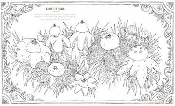 Into the Fungarium: A Spellbinding Coloring Book of Fantastical Fungi - Anna Tromop [KSIĄŻKA]