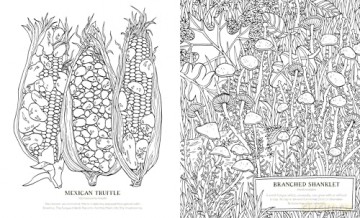 Into the Fungarium: A Spellbinding Coloring Book of Fantastical Fungi - Anna Tromop [KSIĄŻKA]