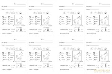 Unicorn Spots: Pet Clinic Activity Book (Never Let A) - Diane Alber [KSIĄŻKA]