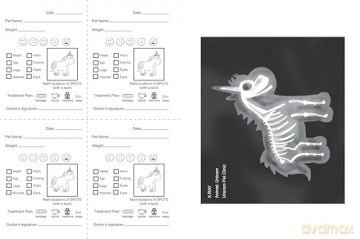 Unicorn Spots: Pet Clinic Activity Book (Never Let A) - Diane Alber [KSIĄŻKA]