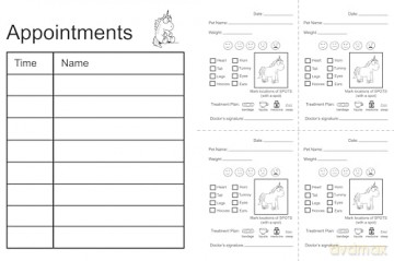 Unicorn Spots: Pet Clinic Activity Book (Never Let A) - Diane Alber [KSIĄŻKA]