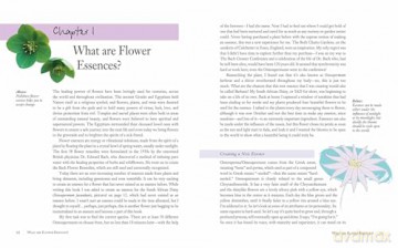 Flower Essences for Well-being: Energetic healing for health and harmony - Barbara Olive [KSIĄŻKA]