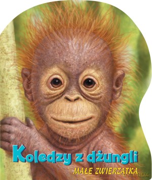 Koledzy z dżungli [KSIĄŻKA]