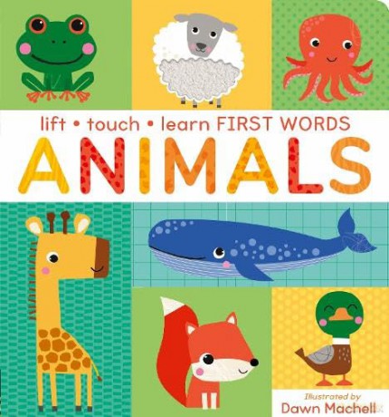 Lift, Touch Learn First Words: Animals - Villetta Craven [KSIĄŻKA]