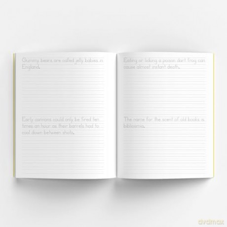 Print Handwriting Practice for Kids 8-12: 250 Awesome Fun Facts about Science, Animals, and History - Highlights [KSIĄŻKA]