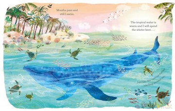 The Whale that Sings in the Deep - Yuval Zommer [KSIĄŻKA]