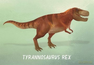 Snap! Dinosaurs [KSIĄŻKA]