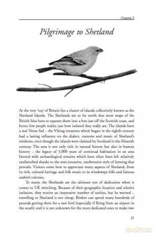 UK500 - Birding in the Fast Lane - J. Hanlon [KSIĄŻKA]