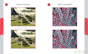 Spot the Difference Picture Puzzles: Over 50 Puzzles - Eric Saunders [KSIĄŻKA]