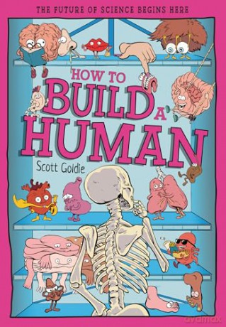 How to Build a Human: The Incredible Design of the Human Body (Tomorrow's World) - Scott Goldie [KSIĄŻKA]