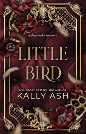 Little Bird: A dark mafia romance: Volume 1 (Dirty Deeds) - Kally Ash [KSIĄŻKA]