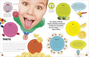 Science You Can Eat: The Astonishing Science Behind Our Food - Stefan Gates [KSIĄŻKA]
