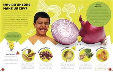 Science You Can Eat: The Astonishing Science Behind Our Food - Stefan Gates [KSIĄŻKA]