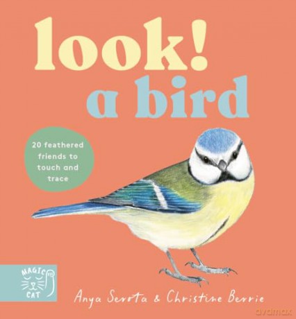 Look! A Bird! - Anya Serota [KSIĄŻKA]
