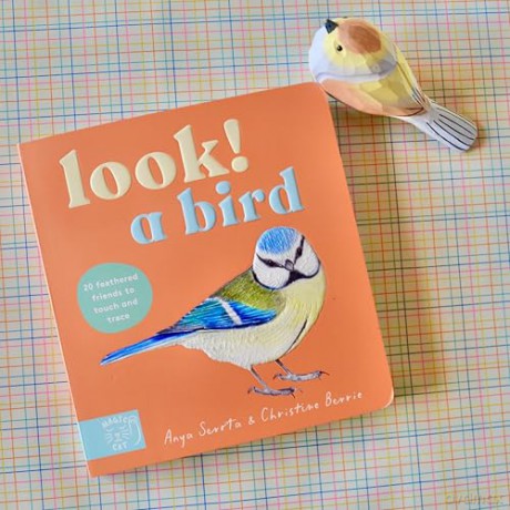 Look! A Bird! - Anya Serota [KSIĄŻKA]