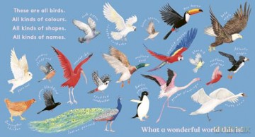 Look! A Bird! - Anya Serota [KSIĄŻKA]