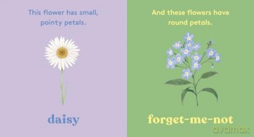 Look! A Flower! - Anya Serota [KSIĄŻKA]