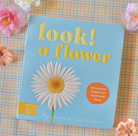 Look! A Flower! - Anya Serota [KSIĄŻKA]