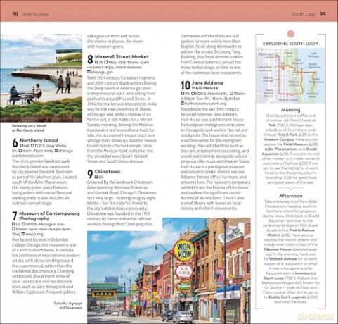 DK Top 10 Chicago: Top 10 lists for your perfect trip, plus an all-weather folded map (Pocket Travel Guide) [KSIĄŻKA]