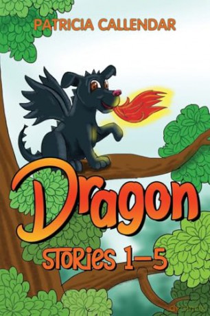 Dragon Stories 1 - 5 - Patricia Callendar [KSIĄŻKA]