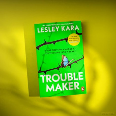 Troublemaker: As heard on BBC Radio 4 Woman's Hour - Lesley Kara [KSIĄŻKA]