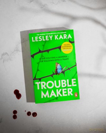 Troublemaker: As heard on BBC Radio 4 Woman's Hour - Lesley Kara [KSIĄŻKA]