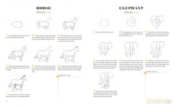 Learn To Draw Animals With 50 Models: Step by Step Guide to Drawing - Niels Roman [KSIĄŻKA]