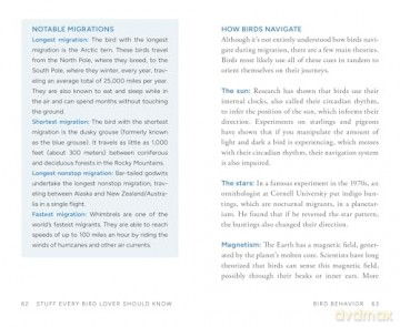 Stuff Every Bird Lover Should Know (Stuff You Should Know) - Alice Sun [KSIĄŻKA]