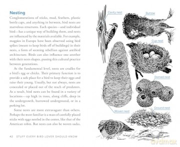Stuff Every Bird Lover Should Know (Stuff You Should Know) - Alice Sun [KSIĄŻKA]