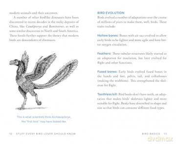 Stuff Every Bird Lover Should Know (Stuff You Should Know) - Alice Sun [KSIĄŻKA]