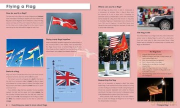 Everything You Need to Know About Flags - Julie Ellis [KSIĄŻKA]