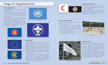 Everything You Need to Know About Flags - Julie Ellis [KSIĄŻKA]