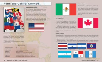 Everything You Need to Know About Flags - Julie Ellis [KSIĄŻKA]