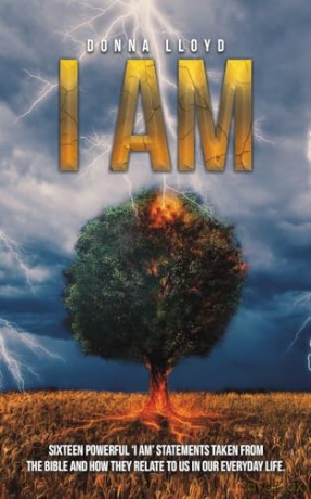 I Am: Sixteen powerful 'I AM' statements taken from the Bible and how they relate to us in our everyday - Donna Lloyd [KSIĄŻKA]
