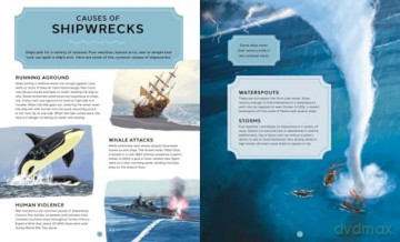 Wrecked: A Deep Dive into the World's Most Famous Shipwrecks - Rebecca Siegel [KSIĄŻKA]