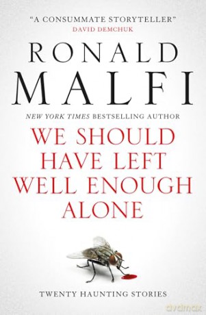 We Should Have Left Well Enough Alone - Ronald Malfi [KSIĄŻKA]