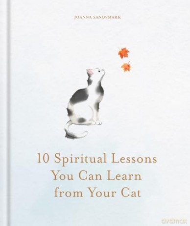 10 Spiritual Lessons You Can Learn from Your Cat: Essential Life Lessons We Can Learn From Our Furry Friend - Joanna Sandsmark [KSIĄŻKA]