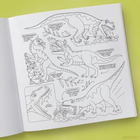Dinosaurs Coloring Book: 40 Drawings to Color - Rachel Ignotofsky [KSIĄŻKA]