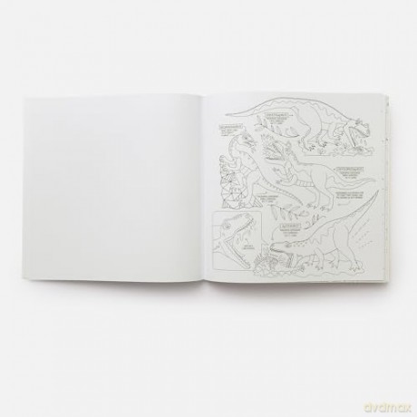 Dinosaurs Coloring Book: 40 Drawings to Color - Rachel Ignotofsky [KSIĄŻKA]