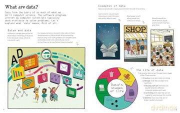 Data, Big and Small (Click, Connect, Compute) - Dr Dharini Balasubramaniam [KSIĄŻKA]