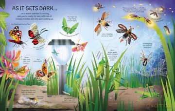 See Inside Bugs and Butterflies: An Interactive Lift-the-Flap Exploration Of Caterpillars, Butterflies, and Fireflies - Emily Bone [KSIĄŻKA]