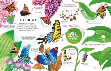 See Inside Bugs and Butterflies: An Interactive Lift-the-Flap Exploration Of Caterpillars, Butterflies, and Fireflies - Emily Bone [KSIĄŻKA]