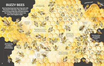 See Inside Bugs and Butterflies: An Interactive Lift-the-Flap Exploration Of Caterpillars, Butterflies, and Fireflies - Emily Bone [KSIĄŻKA]