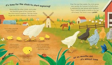 Watch Me Grow: Chickens - Sara Forster [KSIĄŻKA]