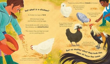 Watch Me Grow: Chickens - Sara Forster [KSIĄŻKA]